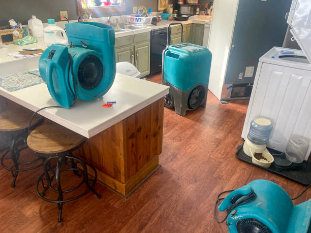 Best Flood damage cleanup  in Lake Lakengren, OH