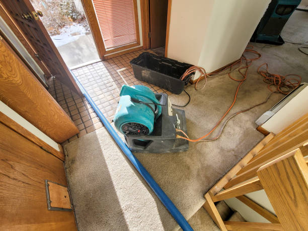 Best Fire Damage Restoration  in Lake Lakengren, OH