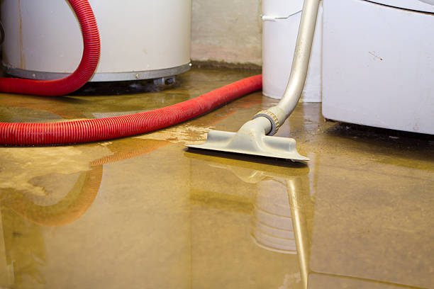 Best Water damage restoration near me  in Lake Lakengren, OH