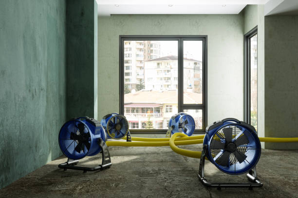 Best Water damage cleanup near me  in Lake Lakengren, OH