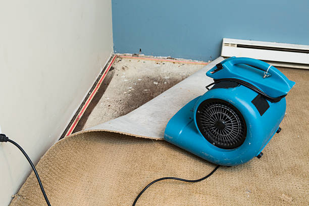  Lake Lakengren, OH Water damage restoration Pros